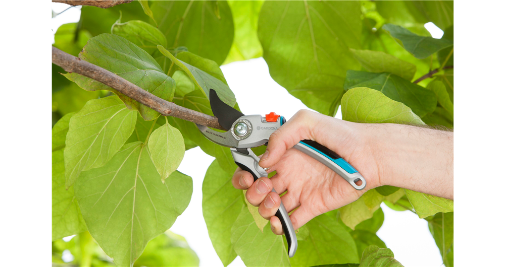 Próbáld ki kockázat nélkül: Gardena metszőollók elégedettségi garanciával!
