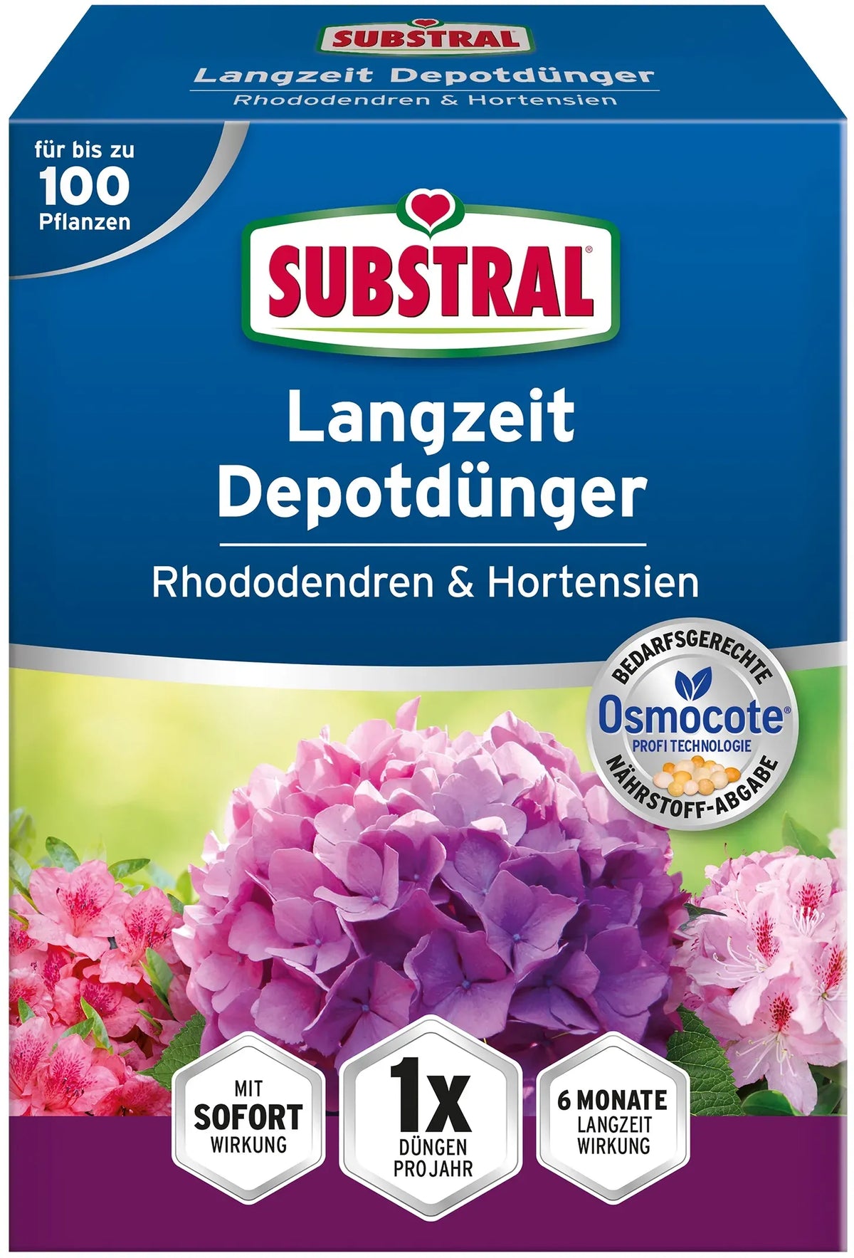 Substral Osmocote trágya rhododendron, hortenzia és erikafélék számára
