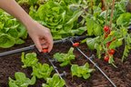 Gardena MDS csepegtetőrendszer