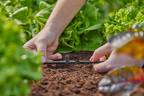 Gardena MDS T-elem 4.6 mm (3/16") fúvókákhoz és végcsepegtetőkhöz – termékjellemző