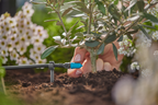 Gardena MDS végcsepegtető 0–15 liter/óra, szabályozható – termékjellemző