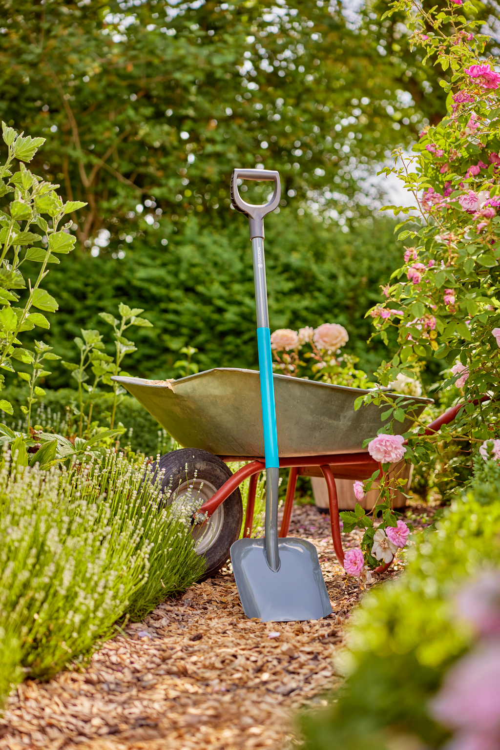 ClassicLine Shovel