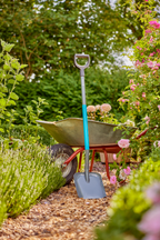 ClassicLine Shovel