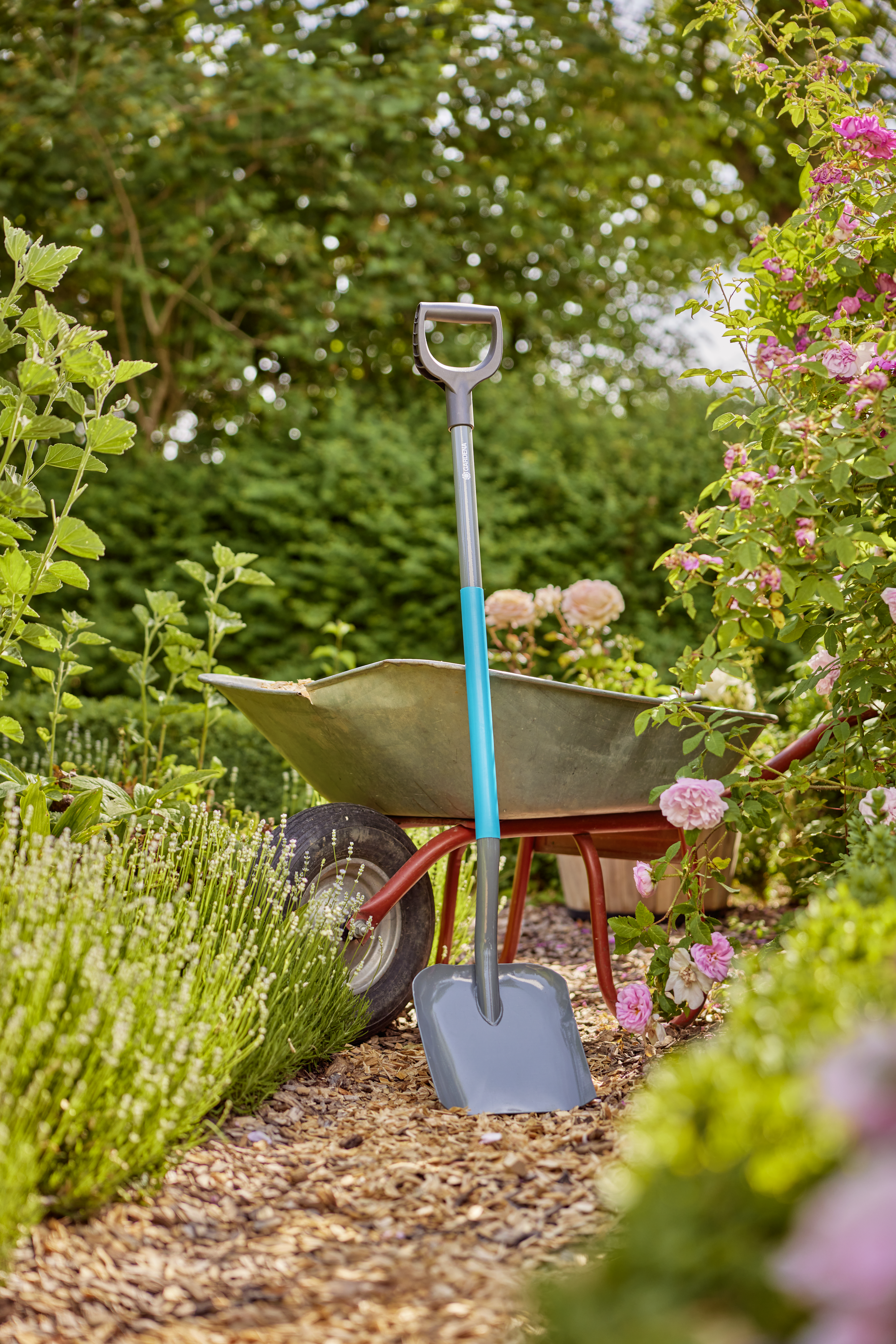 ClassicLine Shovel