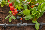 Gardena MDS csepegtetőrendszer
