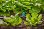 Gardena Kisterület-fúvóka - 10 db kis felületű szórófej, 1 db végzáró – termékjellemző