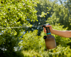 Pumpás permetező 1 liter