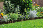 Ágyáskeret (barna)