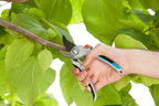 Gardena Alu metszőolló B/L – termékjellemző