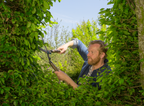 NatureCut sövénynyíró olló