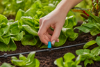 Gardena Kisterület-fúvóka - 10 db kis felületű szórófej, 1 db végzáró – termékjellemző