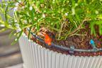 Gardena MSD zárószelep 4,6 mm-es (3/16”) – termékjellemző