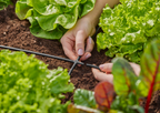 Gardena MDS keresztelem 4.6 mm (3/16") – termékjellemző