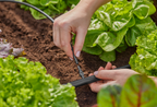 Gardena kötőelem 4.6 mm-es (3/16") – termékjellemző