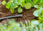 Gardena MDS zárótömítés 4,6 mm-es (3/16”) – termékjellemző