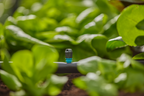 Gardena MDS vég-, csíkfúvóka – termékjellemző