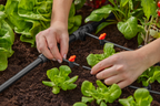 Gardena MDS csepegtetőrendszer
