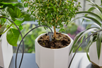 Gardena Automata öntözőkanna készlet 10.5 l víztartállyal – termékjellemző