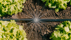 Gardena MDS permetező fúvóka 360° – termékjellemző