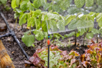 GARDENA termékjellemző