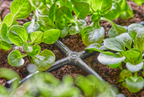 Gardena MDS keresztelem 4.6 mm (3/16") – termékjellemző