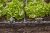 Gardena Micro-Drip T-elem 13 mm (1/2")