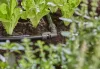 Gardena Micro-Drip 13 mm-es (1/2") L-elem