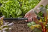 Gardena Micro-Drip kötőelem 13 mm-es (1/2") 