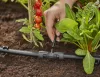 Gardena Micro-Drip T-szűkítőelem 13 mm-ről (1/2") 4.6 mm-re (3/16")