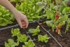 Gardena Micro-Drip T-szűkítőelem 13 mm-ről (1/2") 4.6 mm-re (3/16")