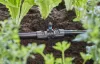 Gardena Micro-Drip T-elem permetező fúvókákhoz
