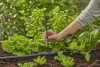 Gardena Micro-Drip T-elem permetező fúvókákhoz