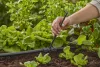 Gardena Micro-Drip T-elem permetező fúvókákhoz