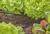 Gardena Micro-Drip T-elem 4.6 mm (3/16")
