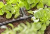 Gardena Micro-Drip T-elem 4.6 mm (3/16")