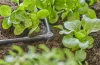 Gardena Micro-Drip 4.6 mm-es (3/16") L-elem