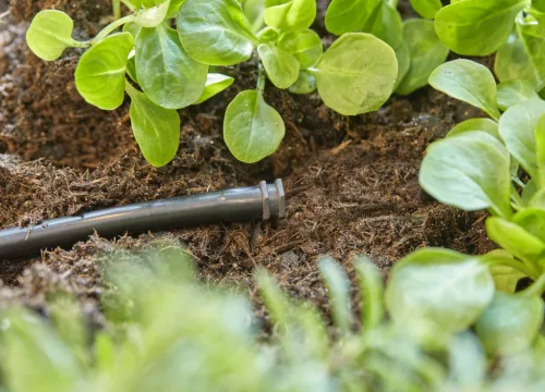 Gardena Micro-Drip 4.6 mm-es (3/16”) zárótömítés