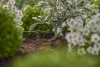 Gardena Micro-Drip végcsepegtetőt nyomáskiegyenlítős 2 l/óra
