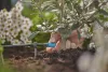 Gardena Micro-Drip szabályozható végcsepegtető 0–15 l/óra