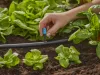 Gardena Micro-Drip kisterület-fúvóka