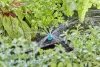 Gardena Micro-Drip kisterület-fúvóka