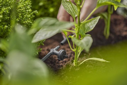 Gardena Micro-Drip sorcsepegtető nyomáskiegyenlítős 2 l/h
