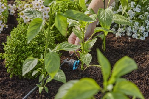 Gardena Micro-Drip szabályozható sorcsepegtető nyomáskiegyenlítős 1–8 l/óra