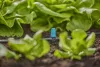 Gardena Micro-Drip kisterület-fúvóka