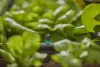 Gardena Micro-Drip vég-, csíkfúvóka