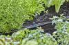 Gardena Micro-Drip csíkfúvóka