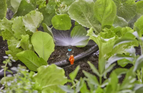 Gardena Micro-Drip 180°-os permetező fúvóka