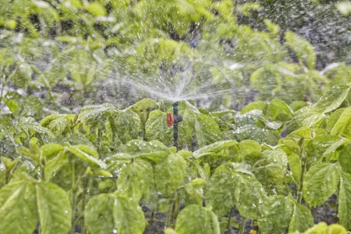Gardena Micro-Drip 360°-os permetező fúvóka