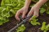 Gardena Micro-Drip 360°-os permetező fúvóka