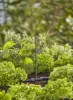 Gardena Micro-Drip 360°-os permetező fúvóka
